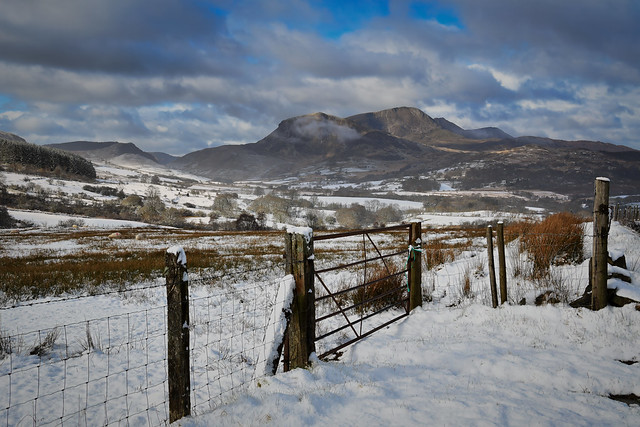 Spring snow