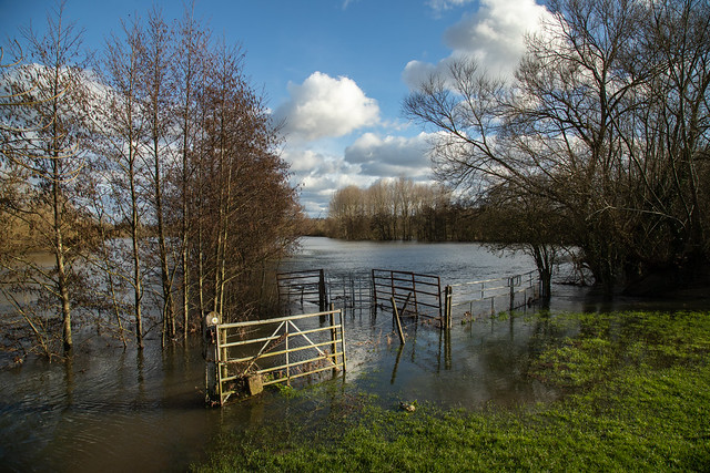 Thames Hambledon floods 26.02.24-3