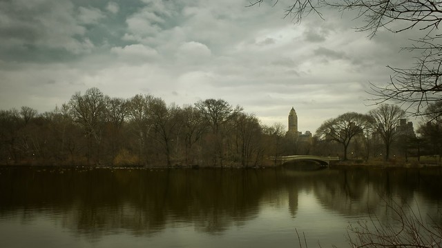 Central Park Lake and Bridge
