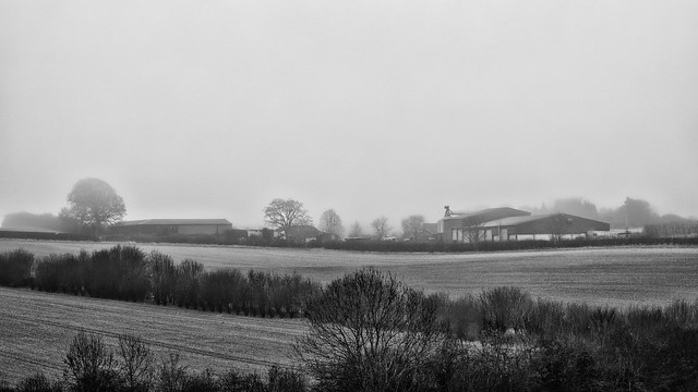 Farm Stead in the Mist