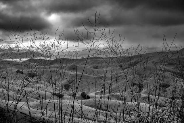 Valley View _bw