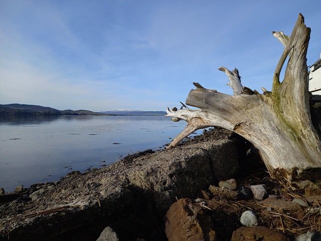 BEAULY FIRTH, CLACHNAHARRY, INVERNESS 25/2/2024