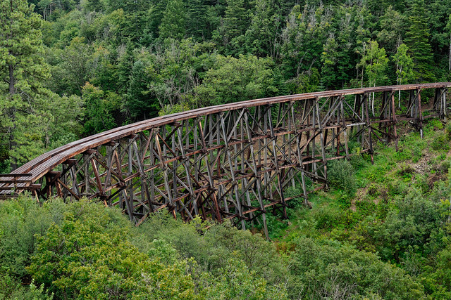 Intricate Structures of the Mexican Canyon Trestle