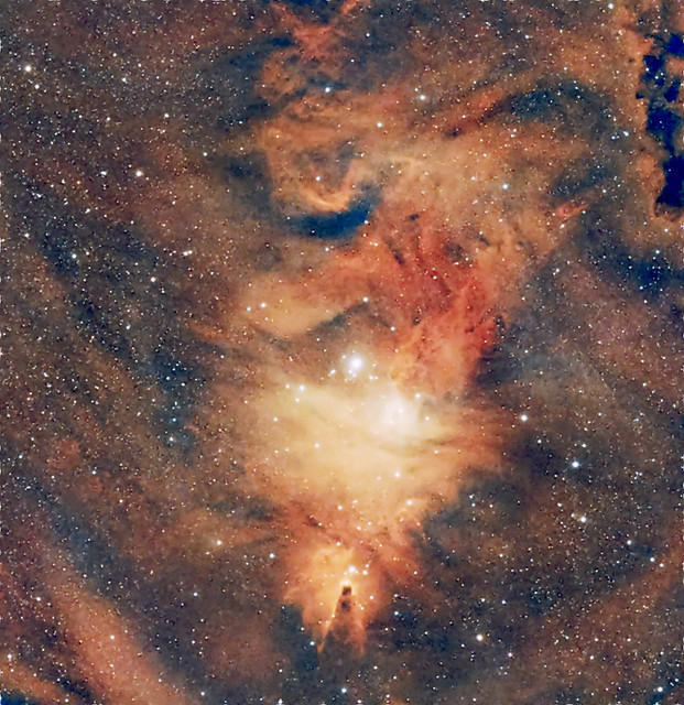 NGC 2264 DEf Taka Sky 90 ASI 533 rid