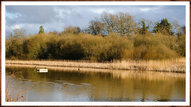 Warnham Mill Pond Sussex