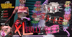 SEKA's XL Bully Collar @WASTELAND