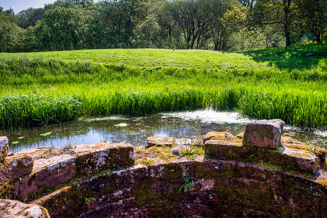 Pond at Caerlaverock Castle