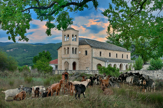 Goats in front of a church