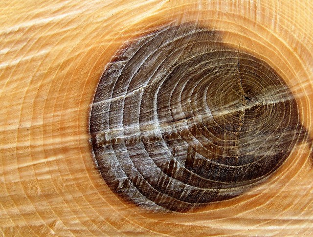knot in sawn wood with cirrus clouds