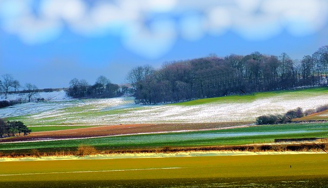 Barkston fields snow