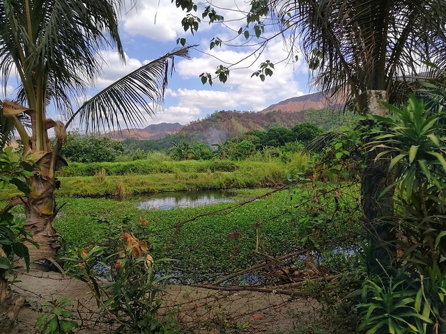 Philippine countryside