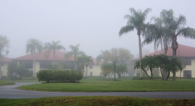 Florida, misty day .. never posted