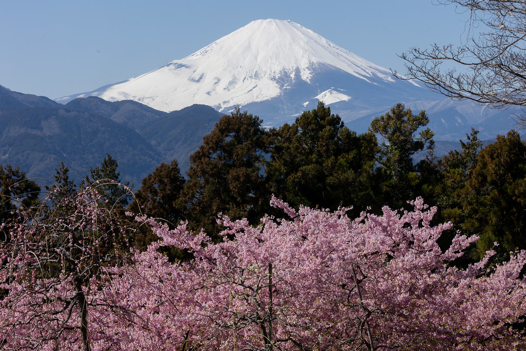 Mt.Fuji in Early Spring