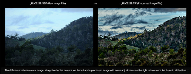 Raw versus Processed + .NEF versus .JPG image