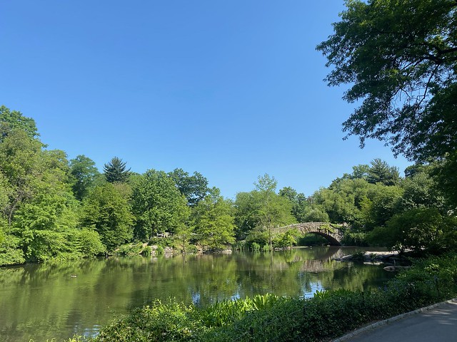 A calm spring morning in Central Park
