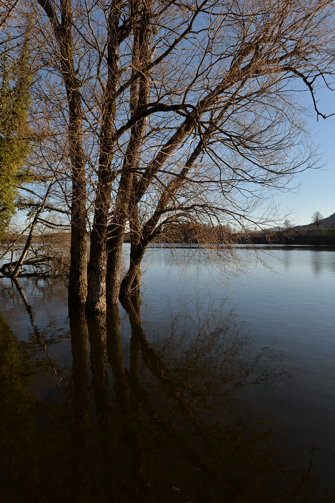 Reflet sur le lac Bret