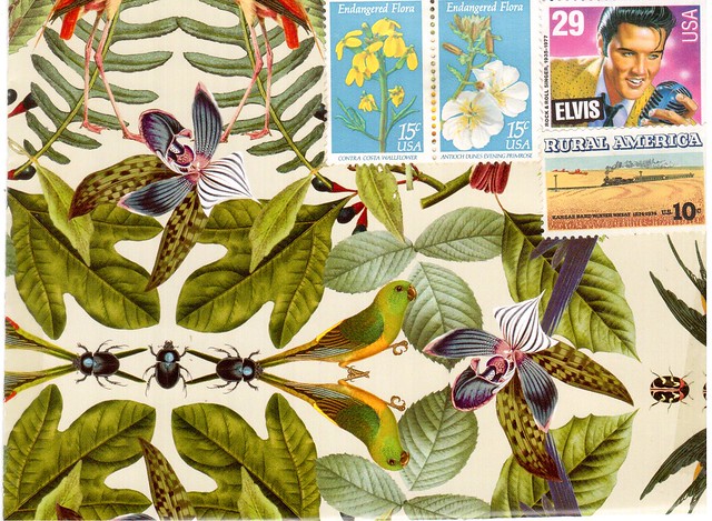 Tropical Foliage Envelope