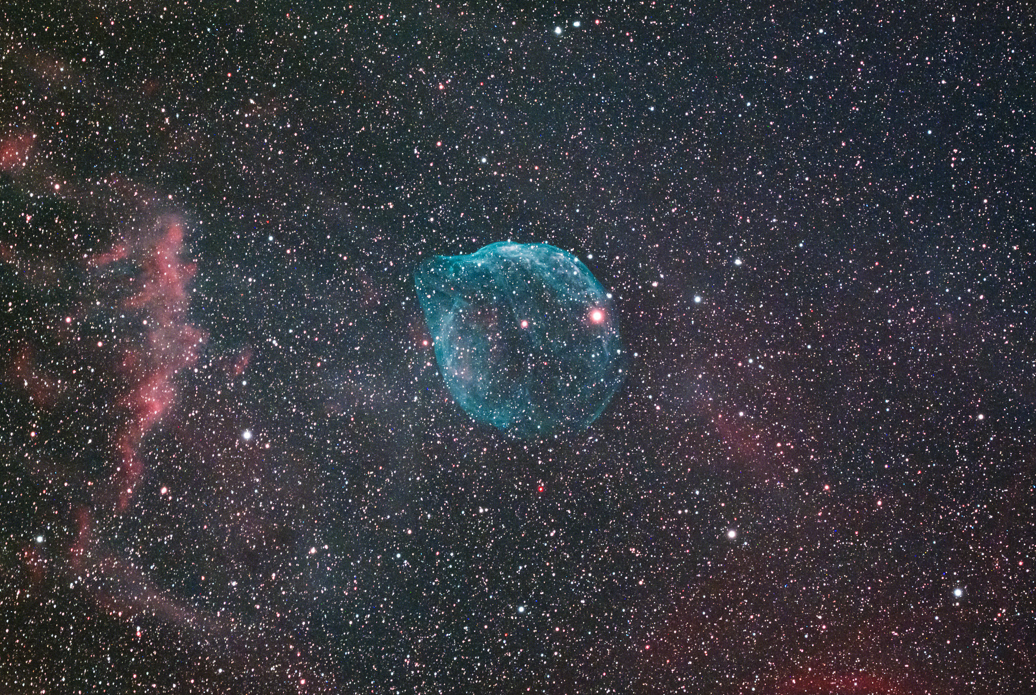 Sh2-308（dolphin nebula）