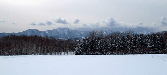 Snow, Trees, Hills and Clouds