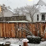 Snowy day, March 3rd 2024 