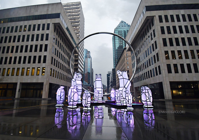 Montreal ~ The Ring & Polar Bears in the Rain