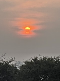 Sunset in Keoladeo NP