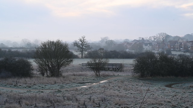 Frosty Early Morning Wokingham - Sunday 3rd March 2024