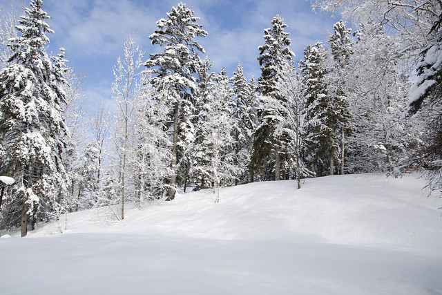 Le lendemain d'une tempête de neige au parc Lepage à Rimouski.