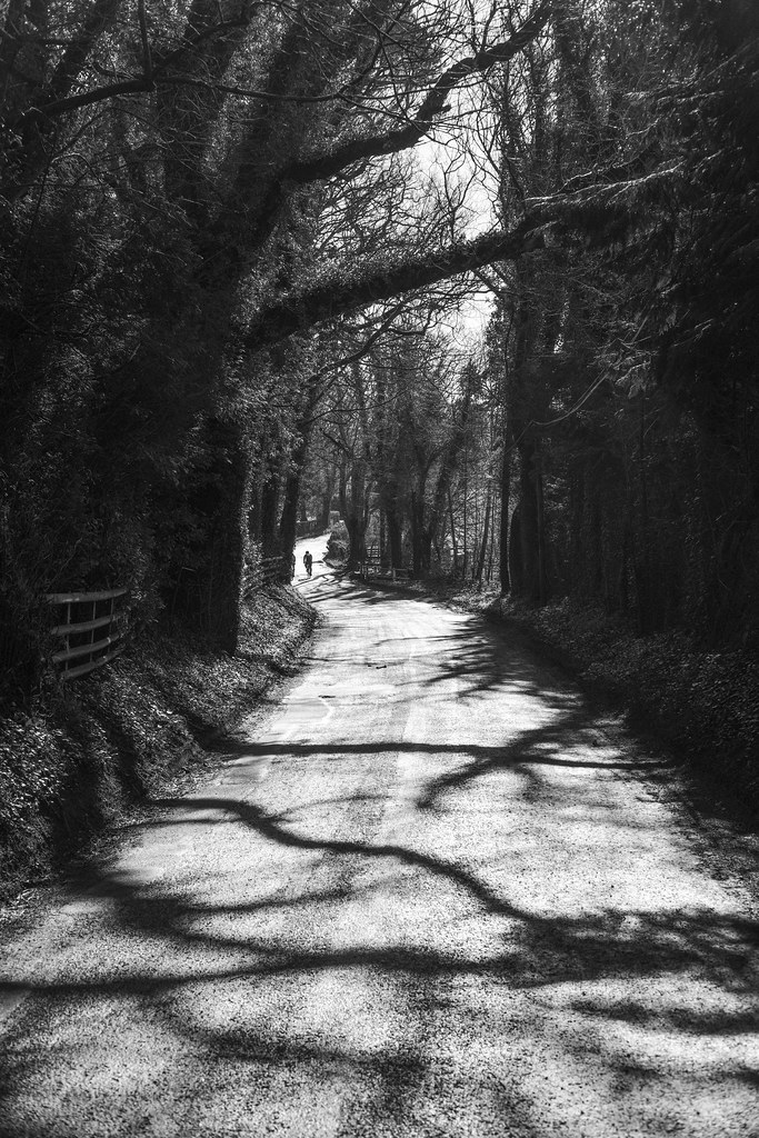 A black and white photo looking along a winding country road, trees on each side, strong sunlight coming through. In the distance a cyclist is silhouetted on the road.