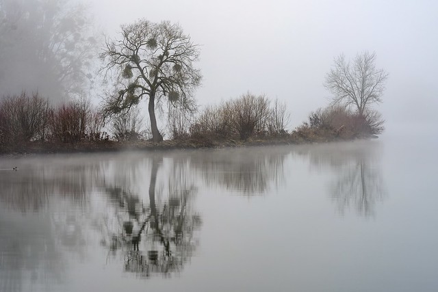 *The river island in the morning mist*