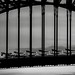 Absence makes the coathanger grow fonder. After 2 weeks having a break, the Sydney Harbour Bridge summons me back to photographic life on a grey dawn.