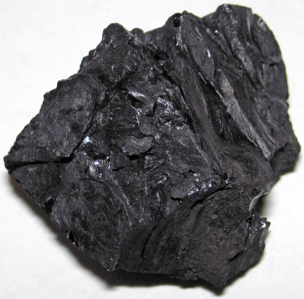 lignite-coal-fort-union-formation-paleocene-bowman-area-north