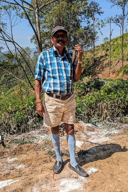 Tea Plantation Supervisor - Walking Stage 16 of the long distance Pekoe Trail from Ella to Demodara, Sri Lanka