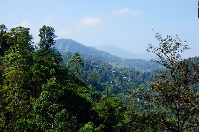 View back to Ella Rock (left center) - Walking Stage 16 of the long distance Pekoe Trail from Ella to Demodara, Sri Lanka