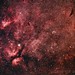 Gamma Cygni and Cresceng Nebulae
