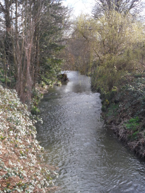 The River Ravensbourne in Ladywell Fields SWC Walk 421 - Blackheath to Deptford (Hills &amp; Parks of Inner Southeast London)