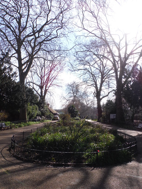 Flowerbed, Manor House Gardens, Lee SWC Walk 421 - Blackheath to Deptford (Hills &amp; Parks of Inner Southeast London)