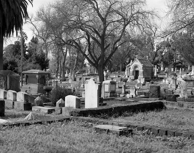 Old City Cemetery