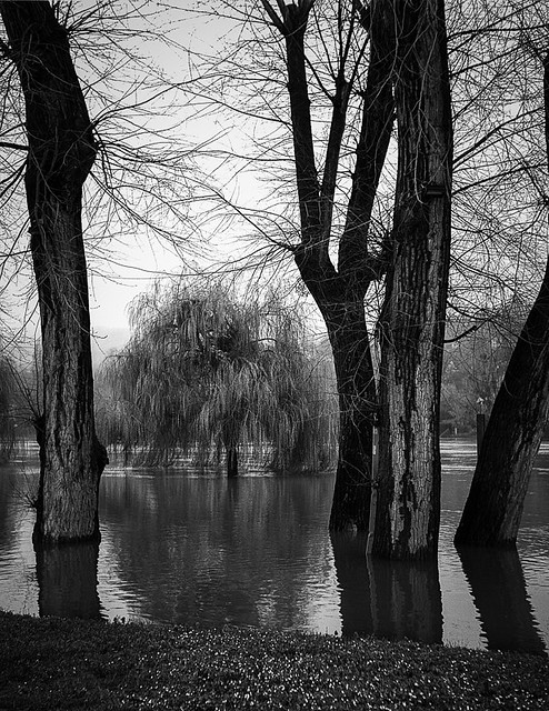 Les pieds dans l'eau...