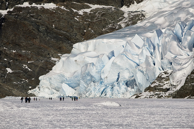 Mendenhall Glacier gf 11