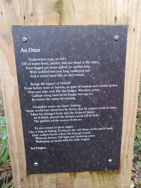 An Otter Poem by Ted Hughes