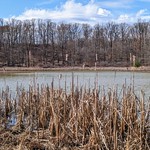 Early March Strongsville Wildlife Area. Spring is in the air.