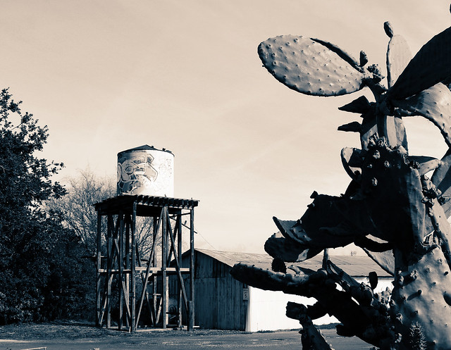 Water Tank and Cactus