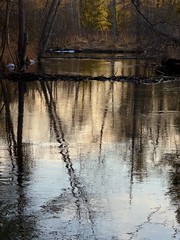 River color reflection