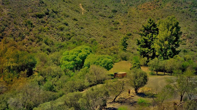 SÜDAFRIKA( South-Africa),   KLeine Karoo, Landschaft Richtung Oudtshoorn, Alles Grün vor den Swartbergen 22628