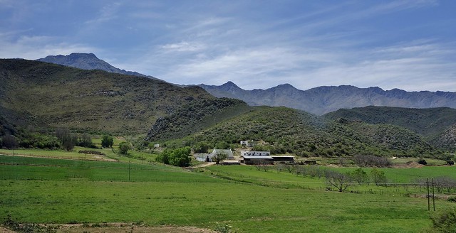 SÜDAFRIKA( South-Africa),   KLeine Karoo, grüne Landschaft Richtung Oudtshoorn vor den Swartbergen , 22626