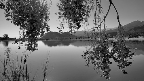 horizontal no people photography outdoors lake nature tree water scenics reflection sky tranquility tranquil scene beauty in day landscape landscapes desert reservoir serene america american southwest cottonwood mountain mountains park cahuilla