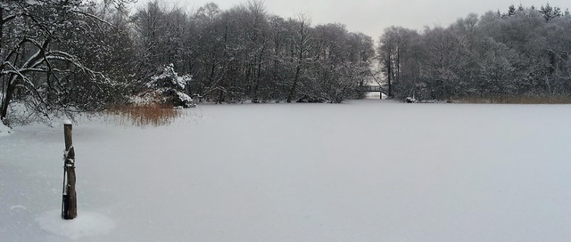 Frozen lake in Silkeborg