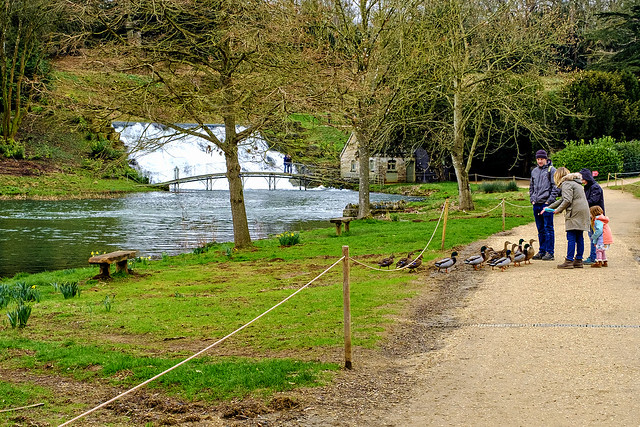 Blenheim Palace - Great Cascade - Feeding The Ducks