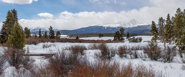 Snowy March Landscape